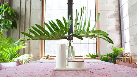 Leaf and June: Decoración con plantas de interior