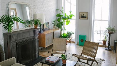 Leaf and June: Decoración con plantas de interior