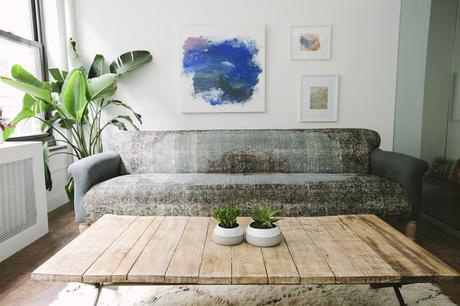 Leaf and June: Decoración con plantas de interior