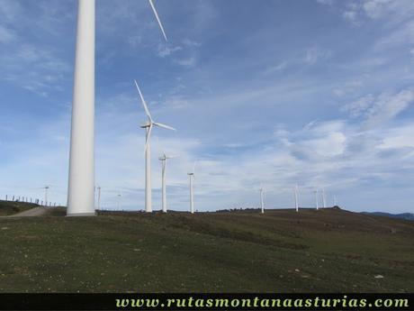 Camino entre aerogeneradores