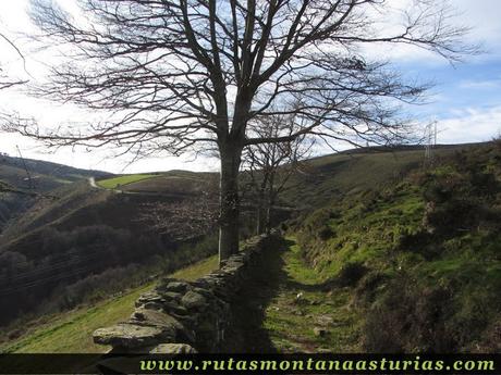 Muro de piedra y carretera a Casa del Puerto