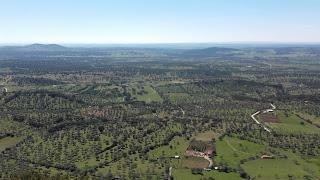 Resumen Primer Encuentro de Escritores Villa de Alburquerque- Fecha: 12 de Marzo de 2016 Resumen Primer Encuentro de Escritores Villa de Alburquerque- Fecha: 12 de Marzo de 2016