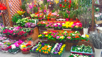 El mercado de Fehérvári út