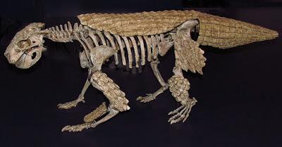PALEOFICHA: Simosuchus clarki