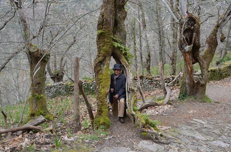 Cuaderno de Viaje. Santo Estevo. Monasterios.