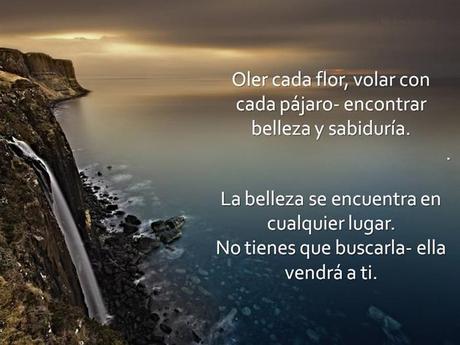 El Silencio Del Alma Nos Conecta Con El Creador
