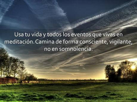 El Silencio Del Alma Nos Conecta Con El Creador