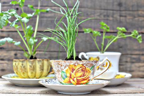 DIY reutilizar tazas de te recicladas para plantar especias