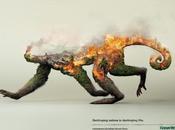 Destruir naturaleza destruir vida