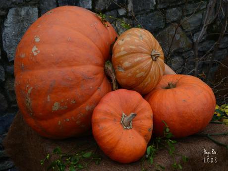 Mermelada de calabaza, naranja y manzana a la canela