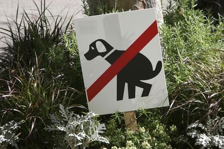 Cómo evitar que los perros defequen en mi jardín. 4 Opciones - Paperblog