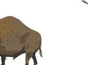 vitamina relación glucosa dieta “paleo”