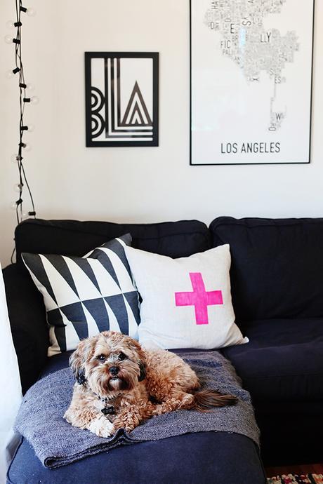 Como perros y gatos así de guapos posan para decorar! Como perros y gatos así de guapos posan para decorar!