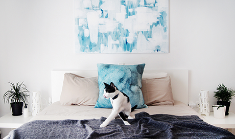 Como perros y gatos así de guapos posan para decorar! Como perros y gatos así de guapos posan para decorar!