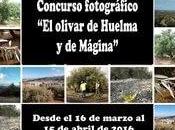 Concurso fotográfico olivar Huelma Mágina”.