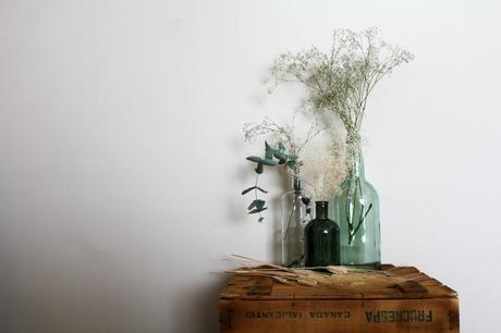 HAZ QUE TUS FLORES LUZCAN PRECIOSAS HAZ QUE TUS FLORES LUZCAN PRECIOSAS