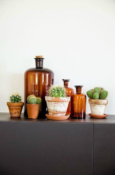 HAZ QUE TUS FLORES LUZCAN PRECIOSAS Aixó