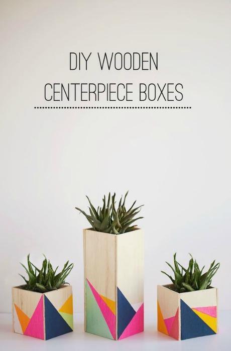 HAZ QUE TUS FLORES LUZCAN PRECIOSAS Kireei