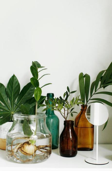 HAZ QUE TUS FLORES LUZCAN PRECIOSAS Decolehti