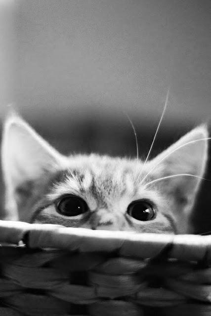 San Viernes y ¿ser Bruce Lee o no ser Bruce Lee?