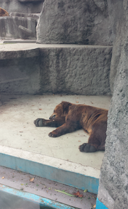 El zoo de Budapest El zoo de Budapest