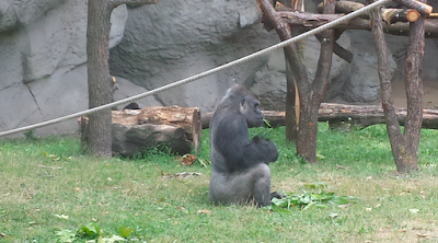 El zoo de Budapest