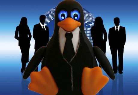 Software empresarial de código abierto para sistemas GNU/Linux Software empresarial de código abierto para sistemas GNU/Linux