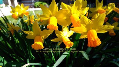 Cuento de primavera: Cuento de primavera: