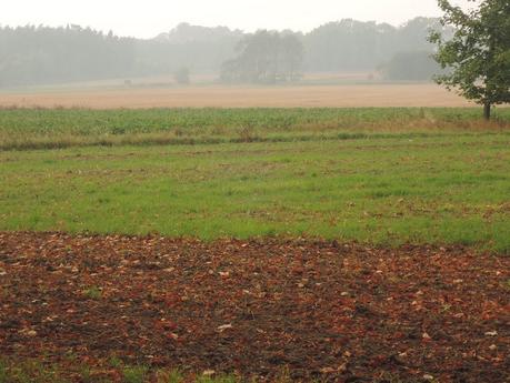 Llanuras polacas, campos otoñales