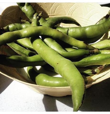 iNSTA sDIOSAS 89 iNSTA sDIOSAS 89