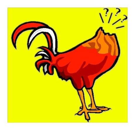 La España delirante de los políticos: Como pollos sin cabeza