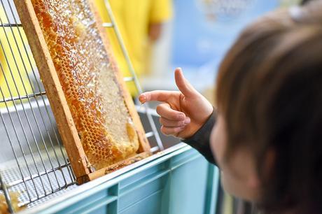 Un mañana dulce con BeetalGO!