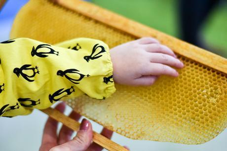 Un mañana dulce con BeetalGO!