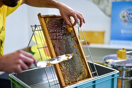 Un mañana dulce con BeetalGO!