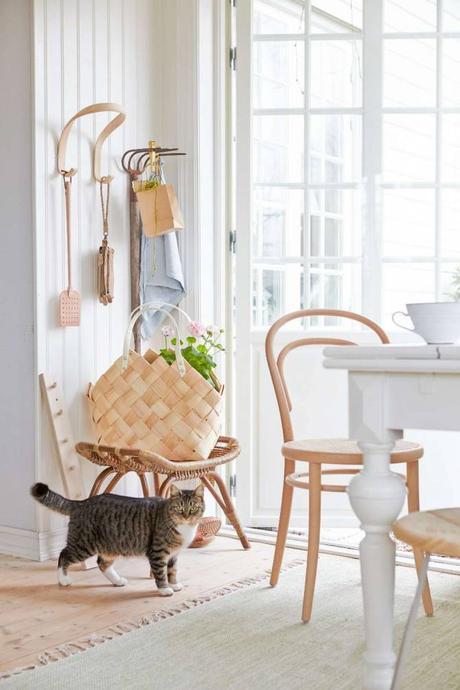 PURA PRIMAVERA... PURA PRIMAVERA...