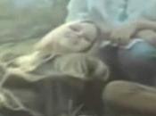 conozco canción: california dreamin'