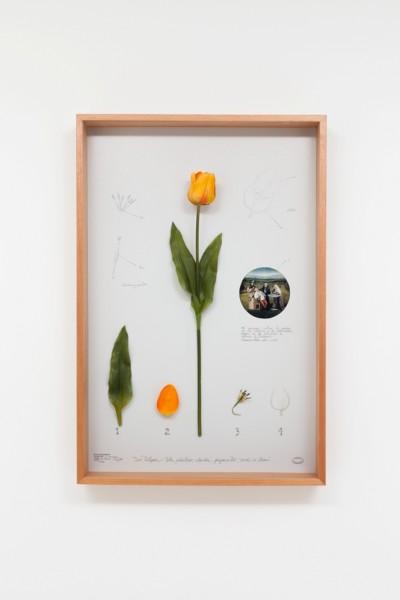 Alberto Baraya, Tulipán Bosco, 2016, objeto plástico y tela “Made in China”, impresión en papel Hahnemühle, 84 x 53,5 x 11. Edición de 10 + 3PA. Cortesía de la galería