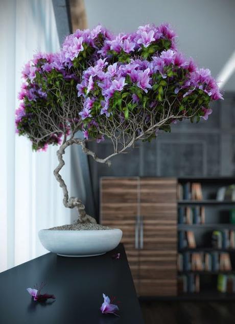 LAS 10 MEJORES PLANTAS PARA DECORAR NUESTRO HOGAR