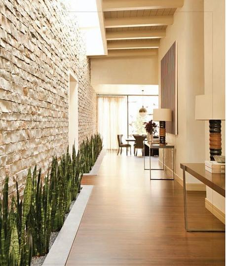 LAS 10 MEJORES PLANTAS PARA DECORAR NUESTRO HOGAR