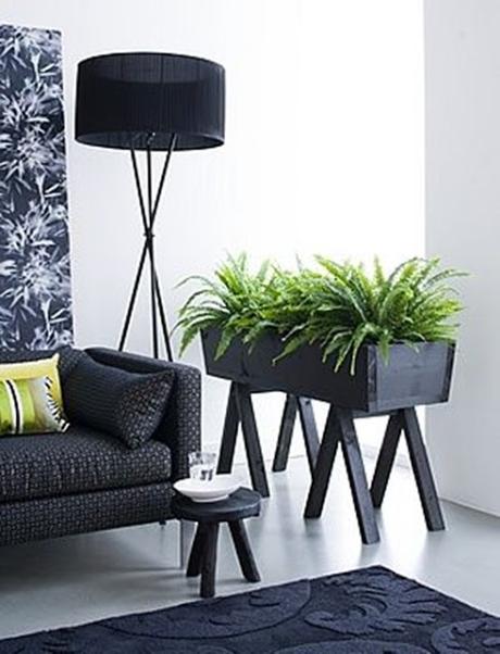 LAS 10 MEJORES PLANTAS PARA DECORAR NUESTRO HOGAR