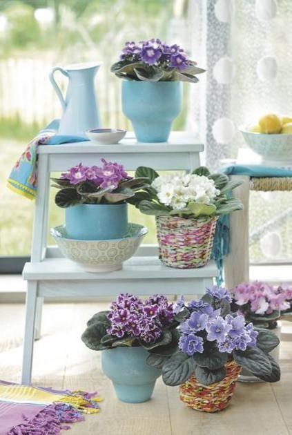 LAS 10 MEJORES PLANTAS PARA DECORAR NUESTRO HOGAR