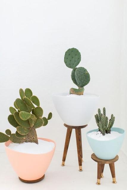 LAS 10 MEJORES PLANTAS PARA DECORAR NUESTRO HOGAR