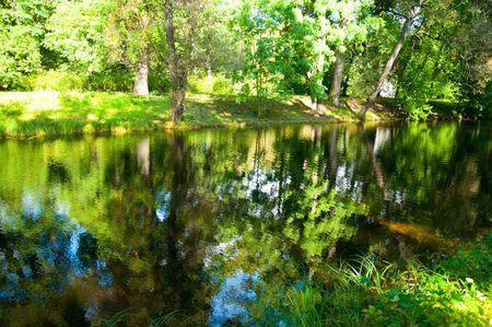 día internacional de los bosques 