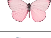 Frases "Persona Normal"