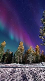 PARECE QUE SE DUERMEN...