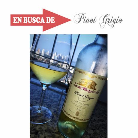 EN BUSCA DE: Pinot Grigio