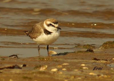 UN LUGAR IDEAL PARA DESCANSAR
