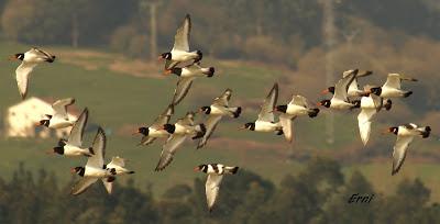 UN LUGAR IDEAL PARA DESCANSAR