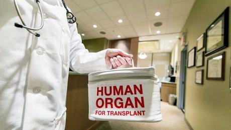 Dentro del Mercado Negro