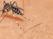 conoces síntomas virus Zika cómo protegerse, aquí contamos